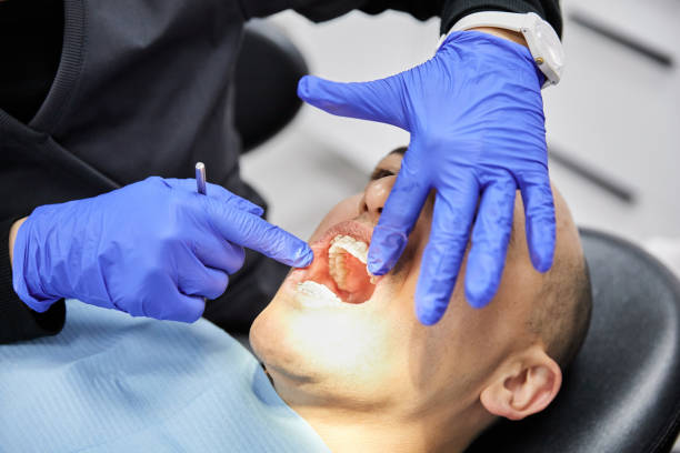 Best Orthodontic Emergency Dentist in The Meadows, FL